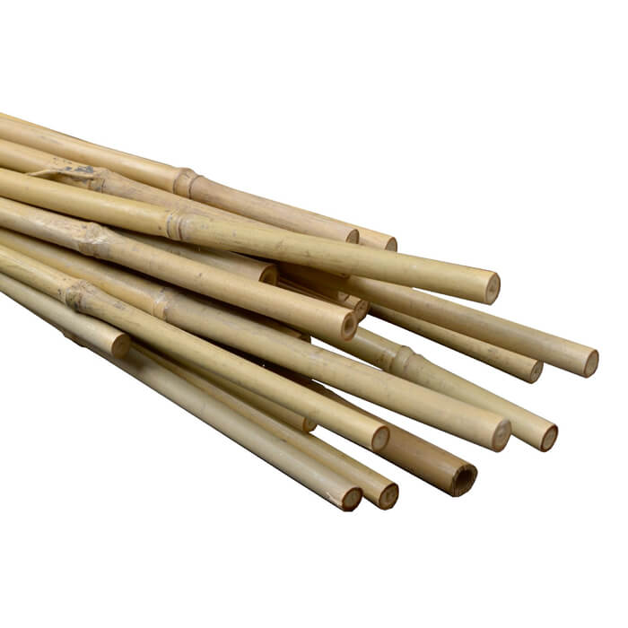 Natural Bamboo Stakes
