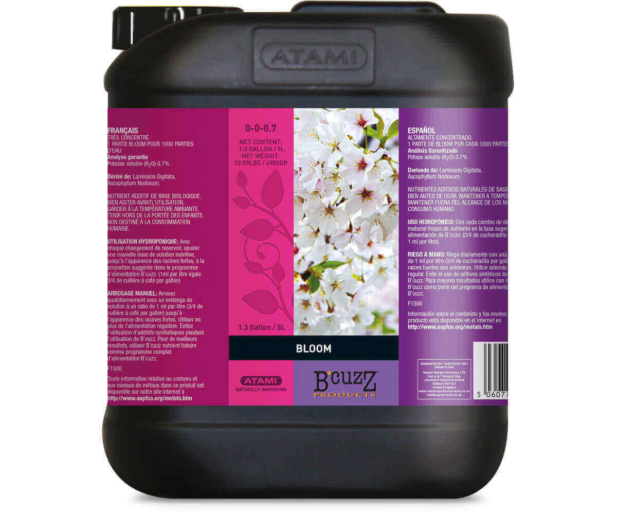 B'Cuzz Bloom