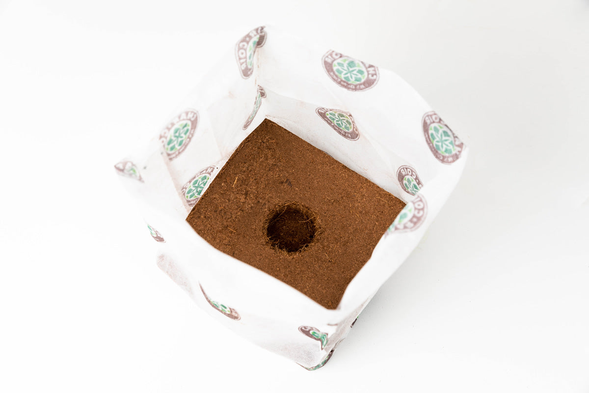 Char Coir Char Coir BioPot 3L (2 Gallon)