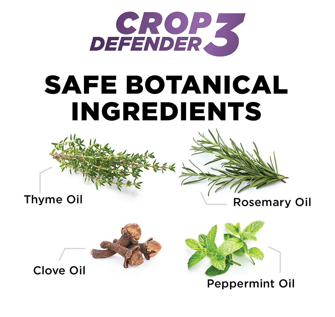 Crop Defender 3 Ingredients: Thyme Oil 15.50% , Rosemary Oil, Clove Oil, Peppermint Oil
