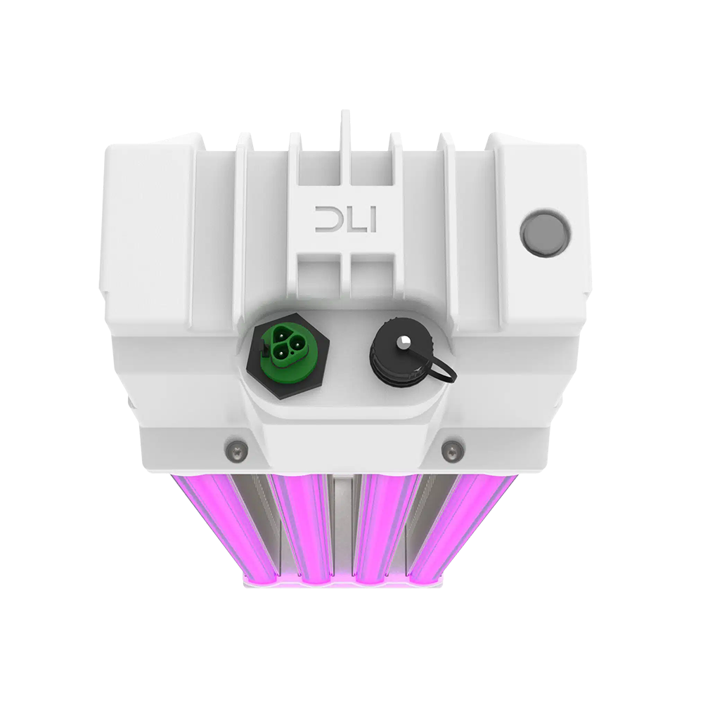 DLI ZENITH-Series 900w LED