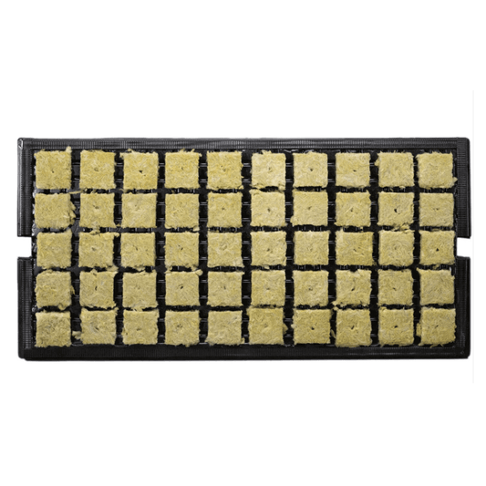 Grodan 1.5” A-Ok Starter Plugs Prefilled Trays