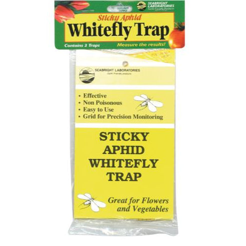 Seabright | Sticky Aphid Whitefly Traps
