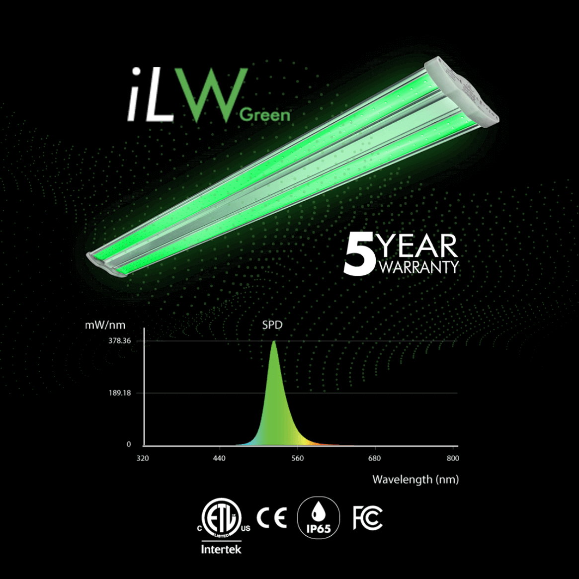 iLuminar iLW 40W Green Work Light