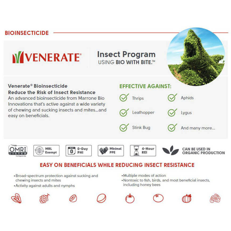 Marrone Bio Innovations Venerate CG Bioinsecticide