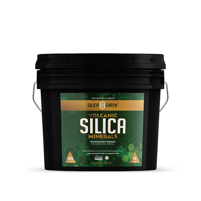 Silica Earth Volcanic Silica Minerals Micronized Powder, 10 Lbs