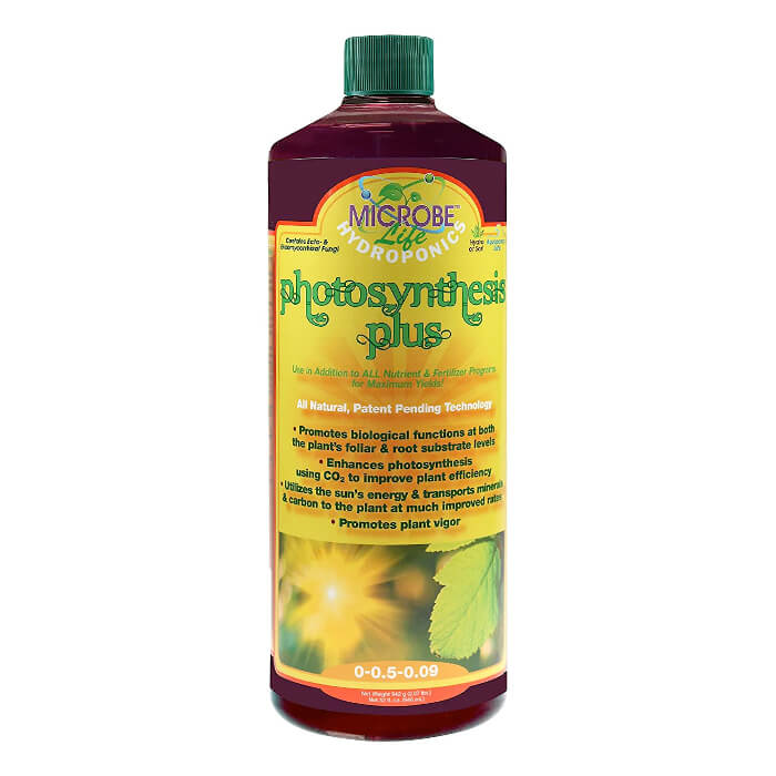 Microbe Life Photosynthesis Plus
