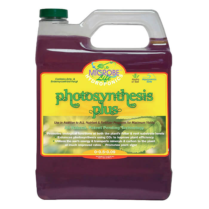Microbe Life Photosynthesis Plus