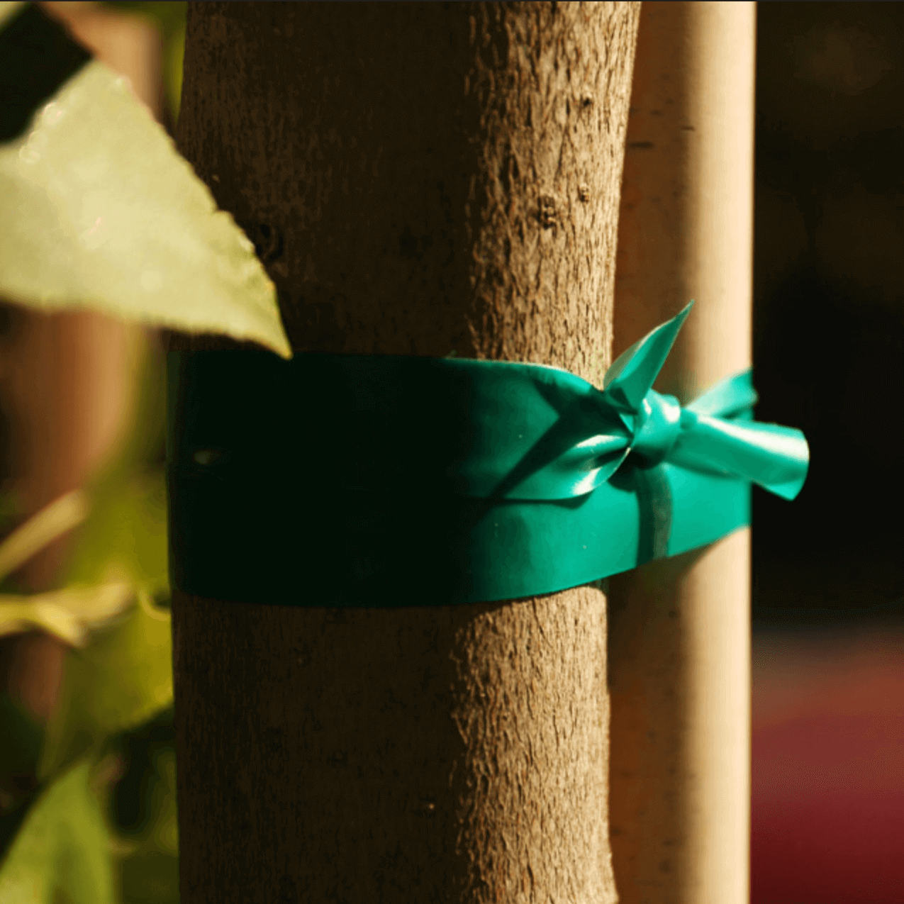 Hydrofarm Plant Tie, 150 ft