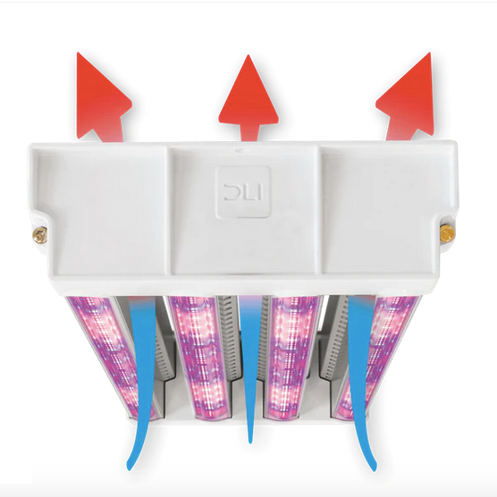 DLI APEX-Series LED Toplight 1000w