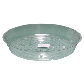 Clear Saucer