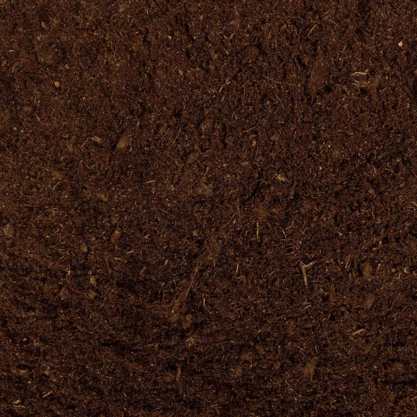 Lambert Canadian Sphagnum Peat Moss