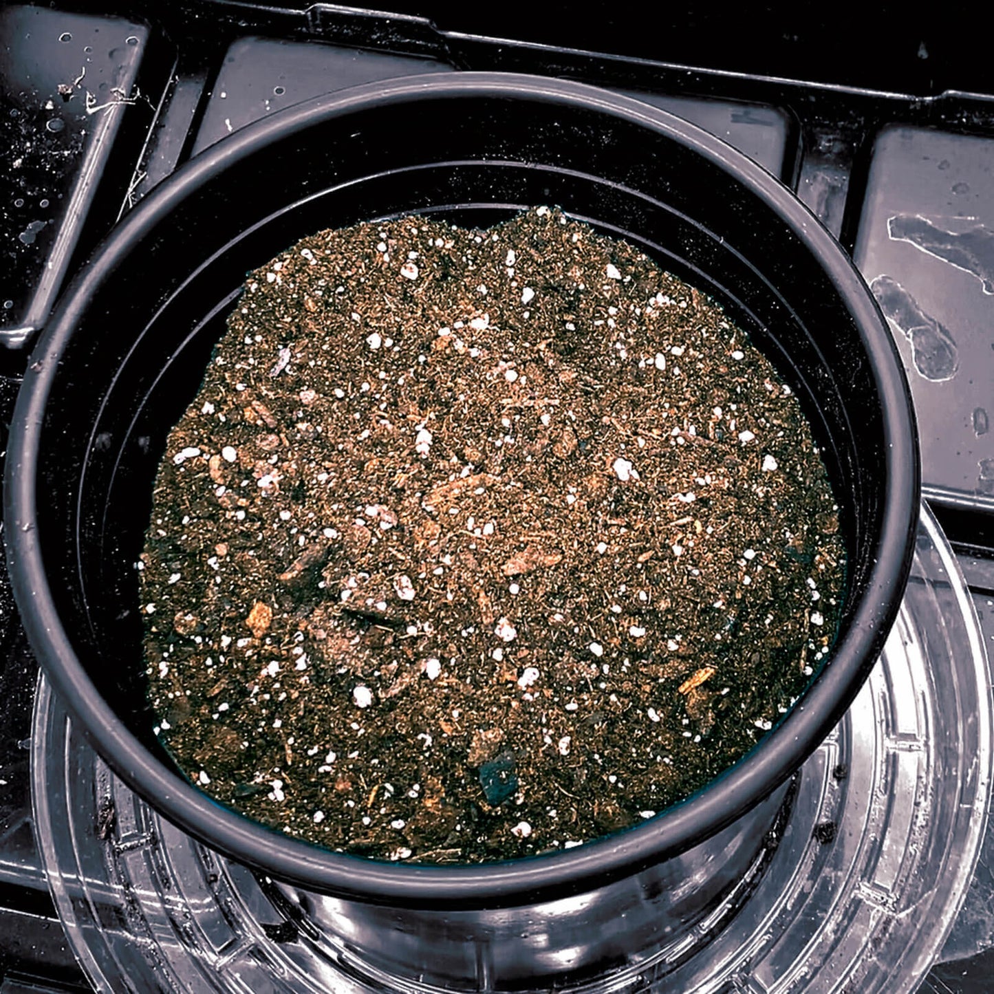 Organicare True Earth Potting Mix