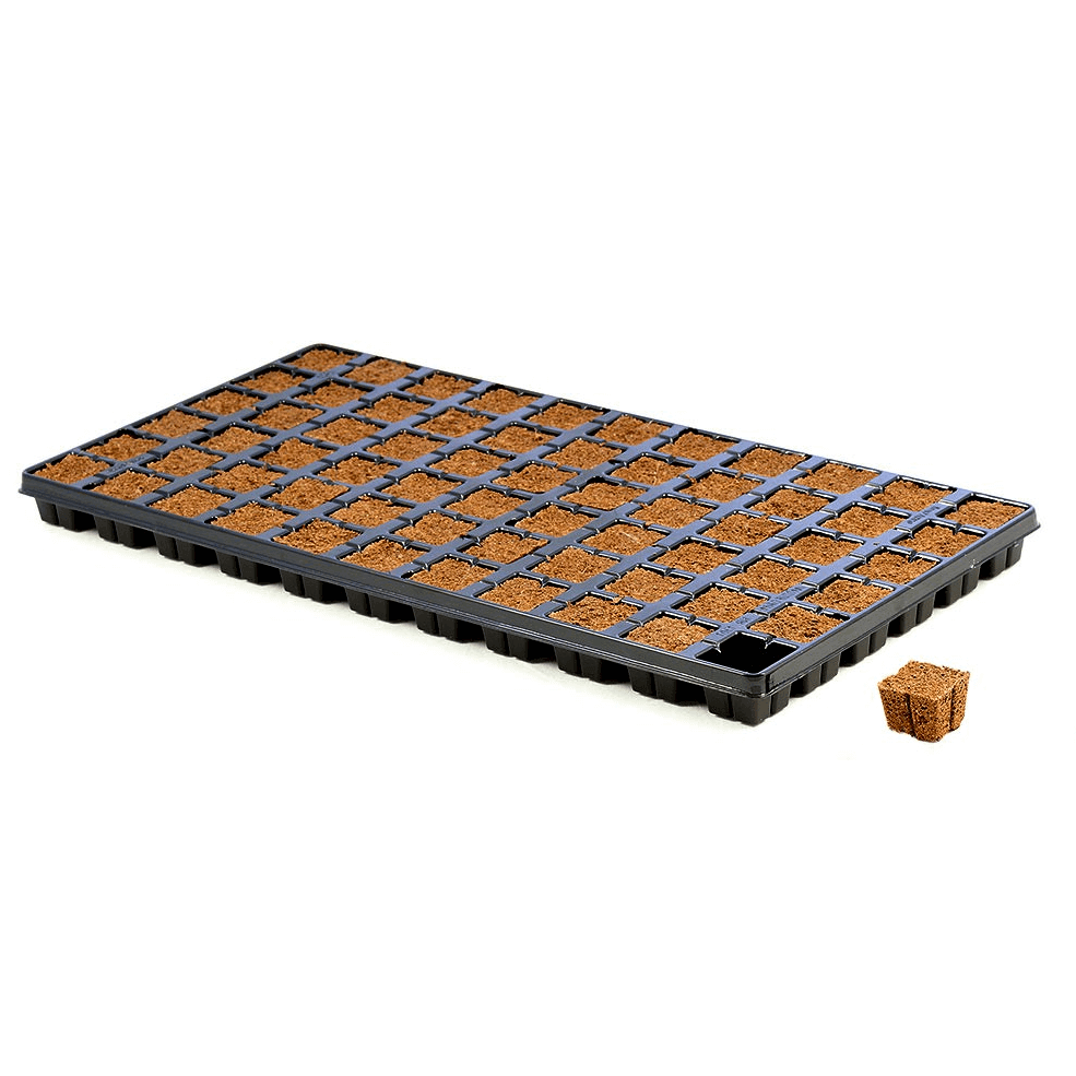 EAZY PLUG Starter Plug Trays