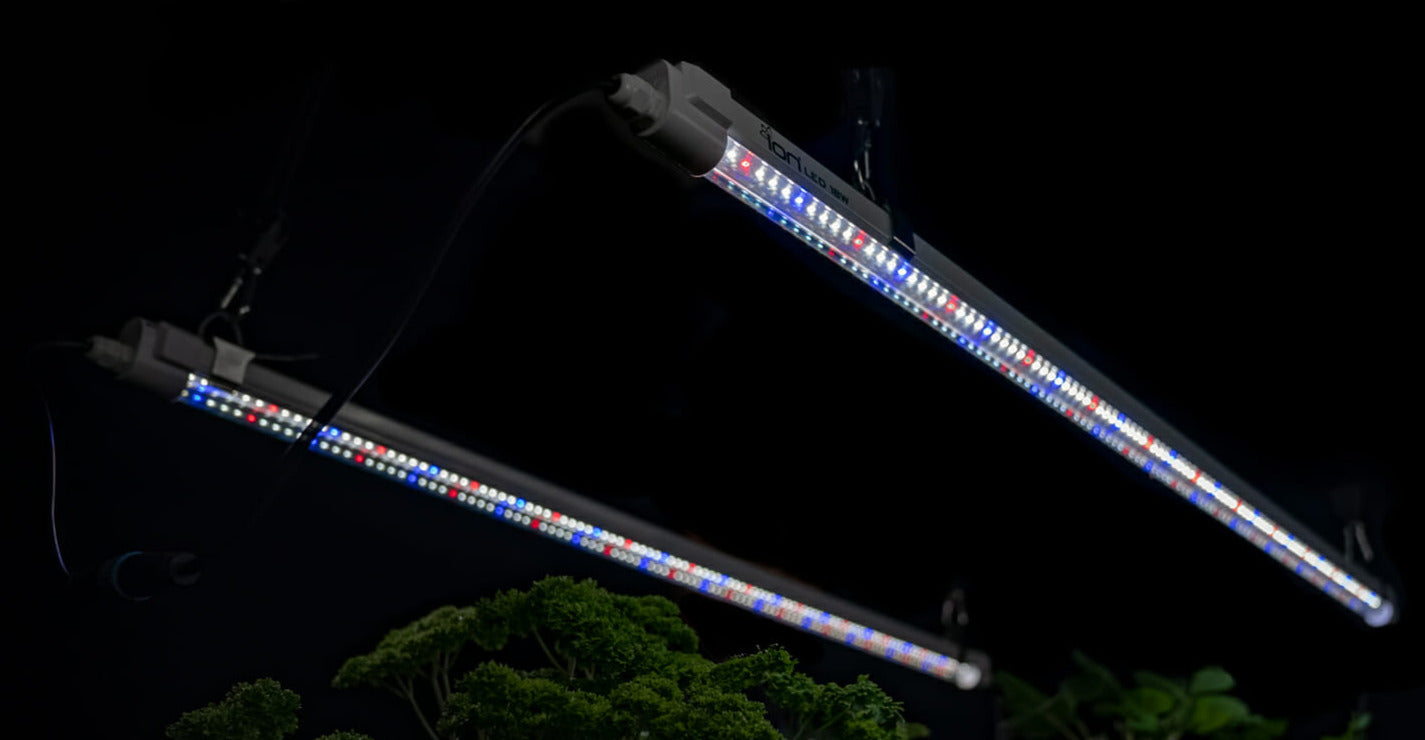 Ion Clone LED 36w - 2 strips