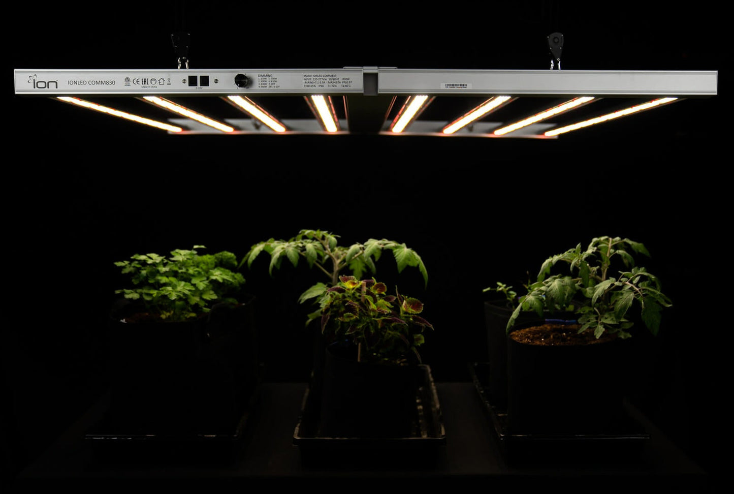 ION Lighting LED XR 830w PRO 120v-277v