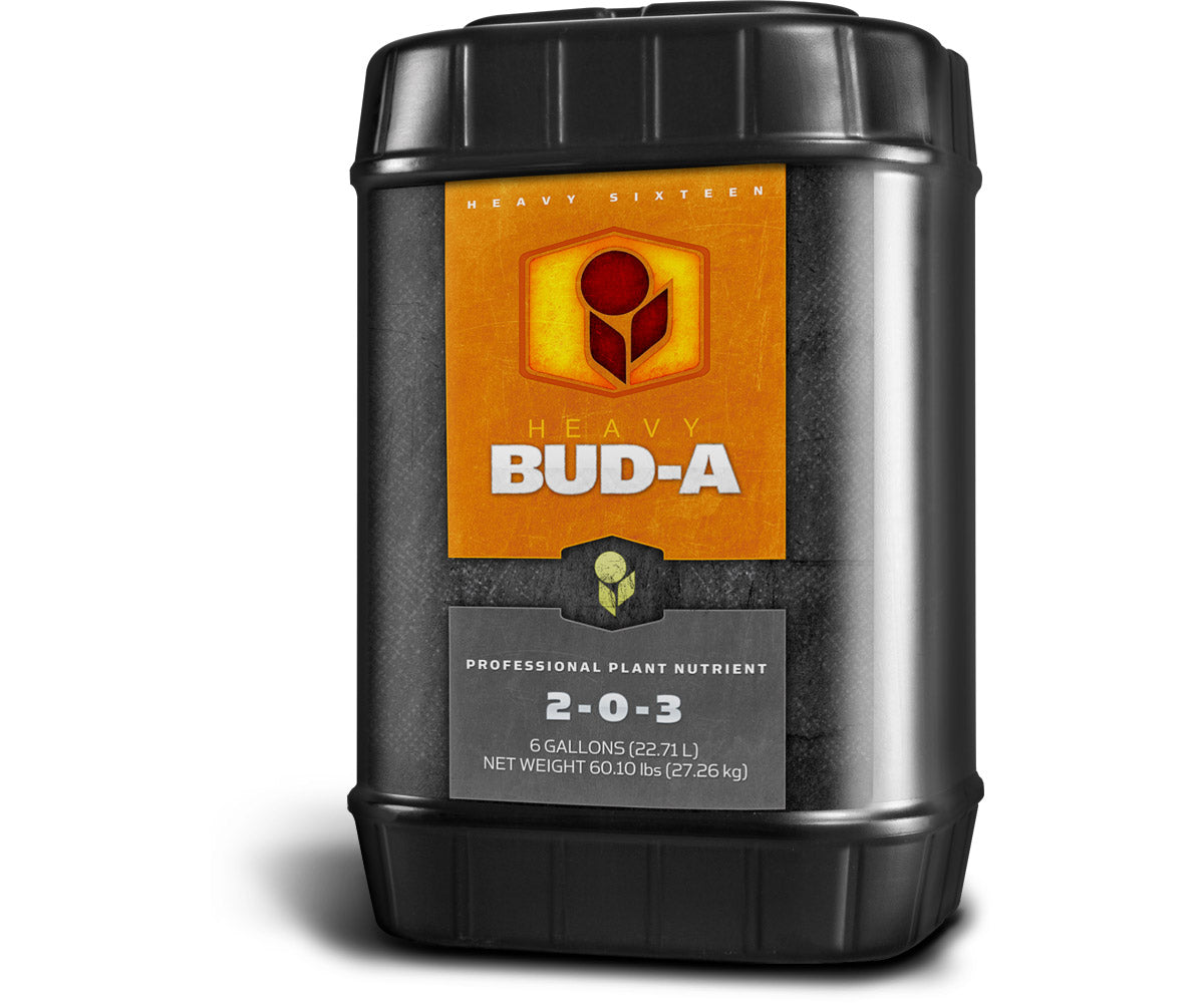 HEAVY 16 Bud A, 6 gal