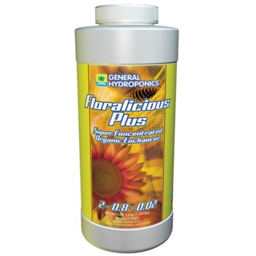 Floralicious Plus Quart