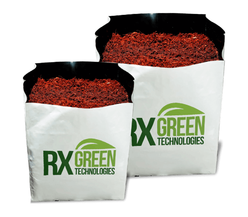 RX Green BUFFERED CLEAN COCO Cubes
