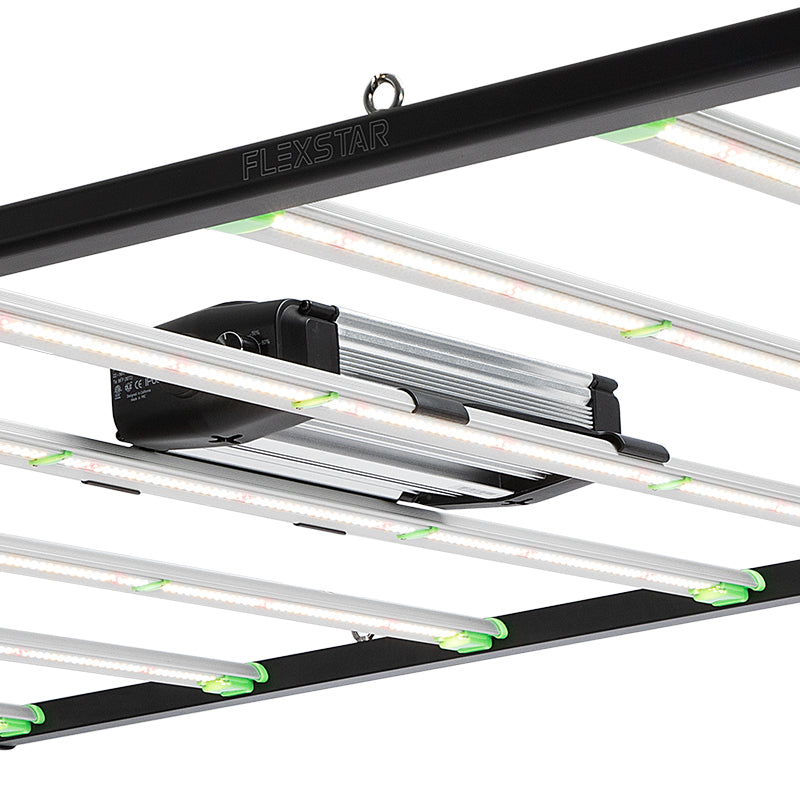 Flexstar 1000W Pro LED