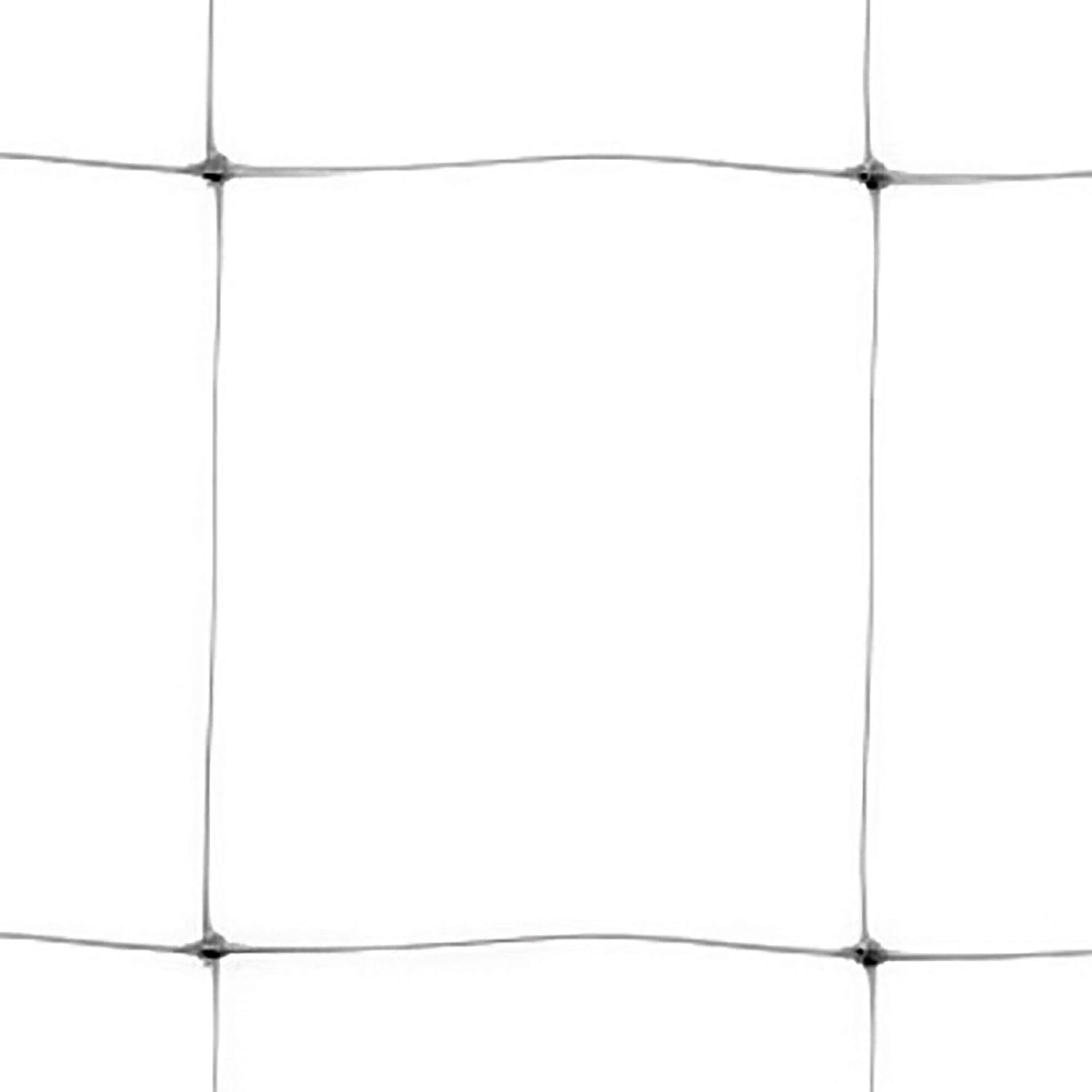 tenax hortonova plant trellis net Tenax Hortonova Trellis Net, White – Evolve Garden Supply