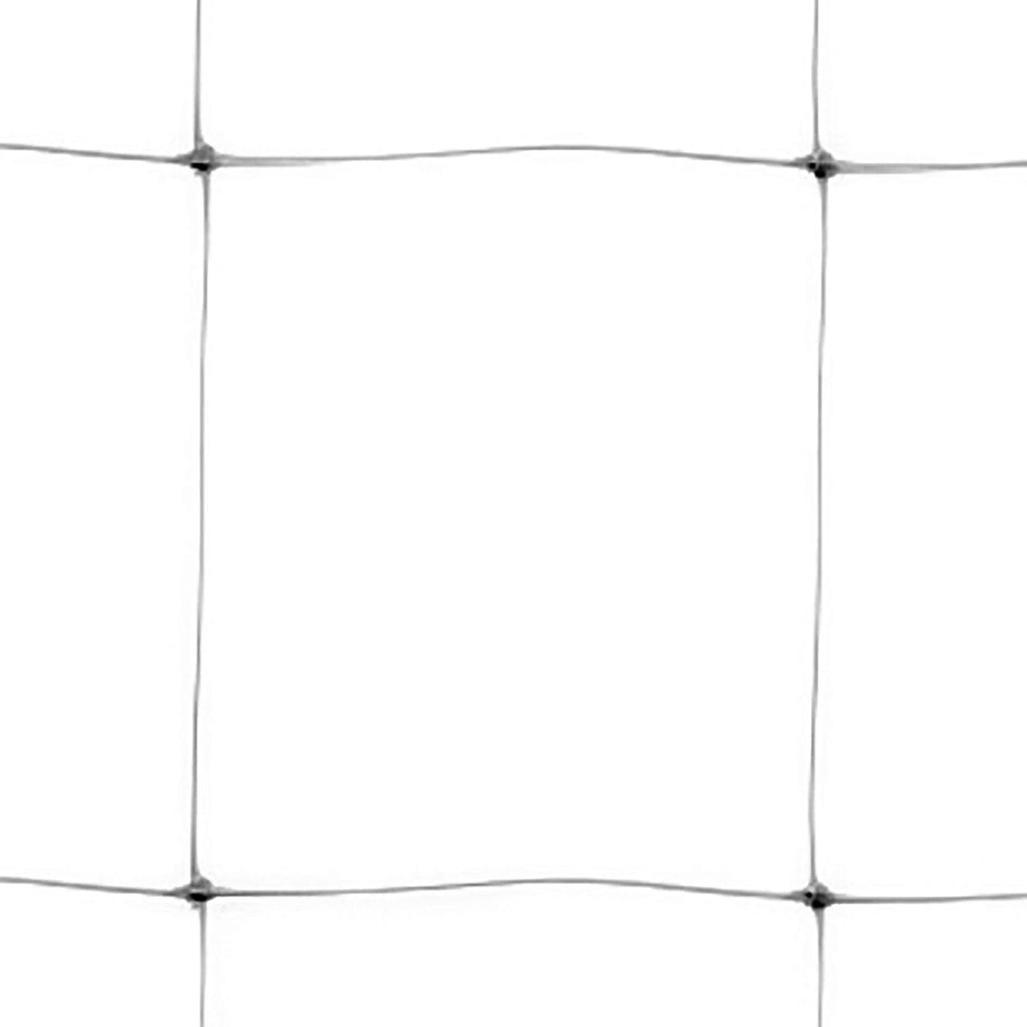 Tenax Hortonova Trellis Net, White