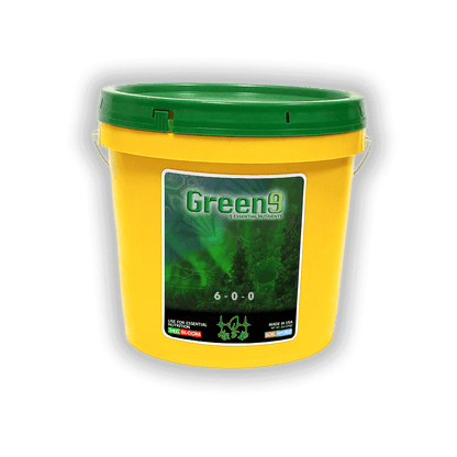 Key to Life Green9