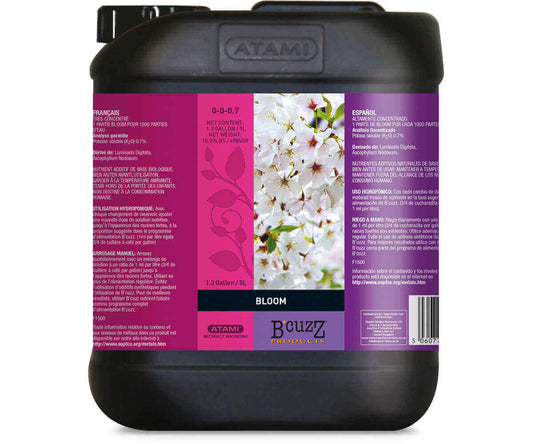 B'Cuzz Bloom