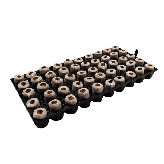 Char Coir Coco Coin Tray