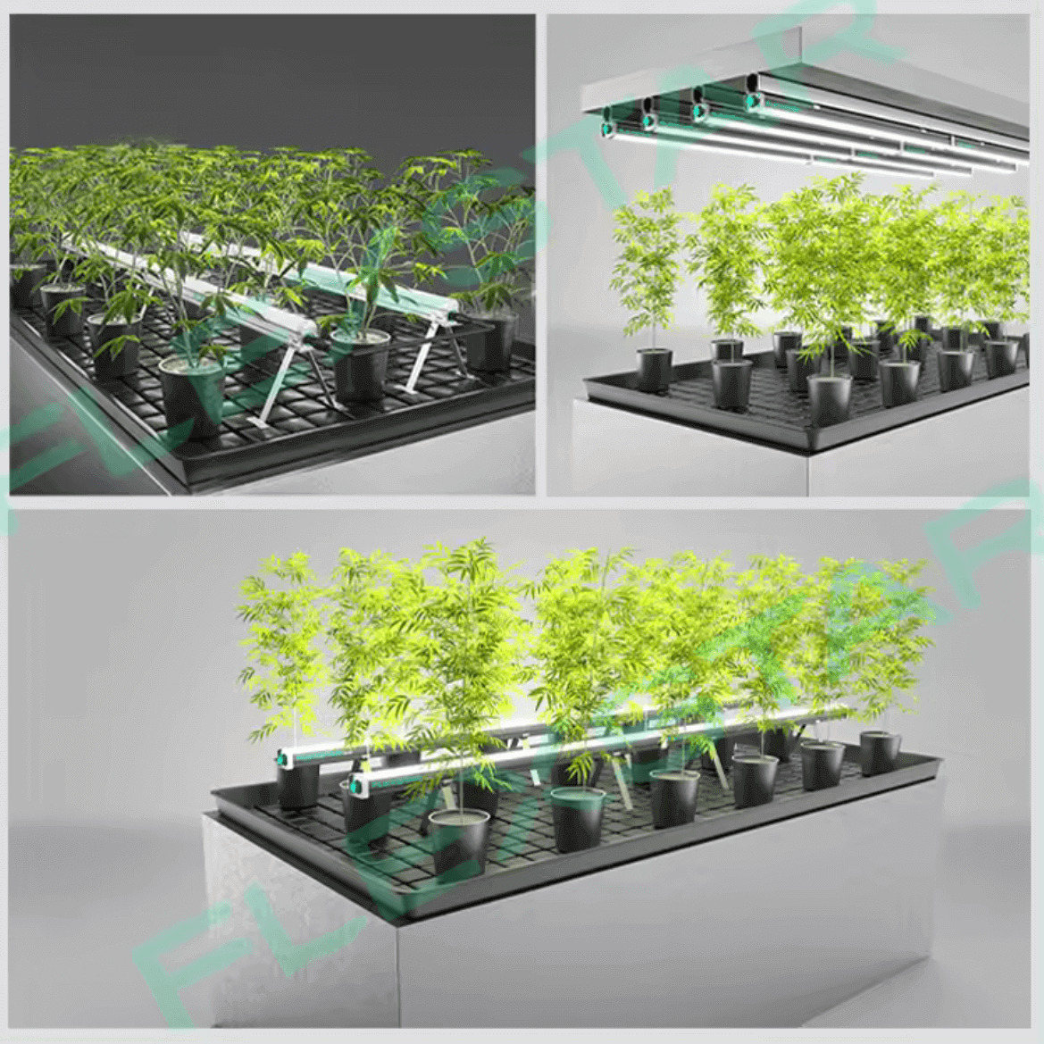 Flexstar Under Canopy Lights 120W R5W indoor growing