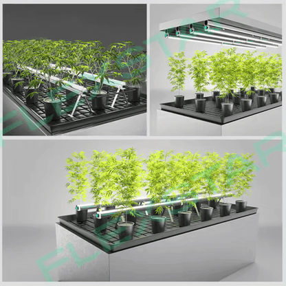 Flexstar Under Canopy Lights 120W R5W indoor growing