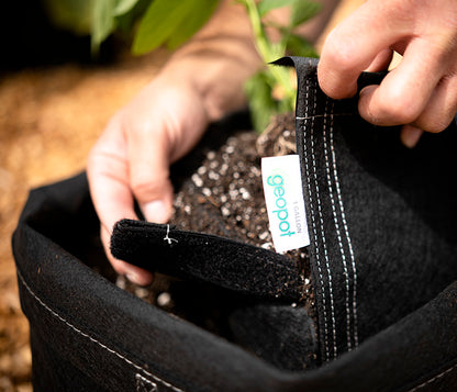 GeoPot Fabric Pots Black Velcro