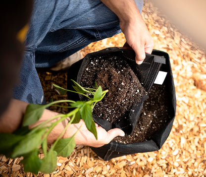 GeoPot Fabric Pots Black Velcro