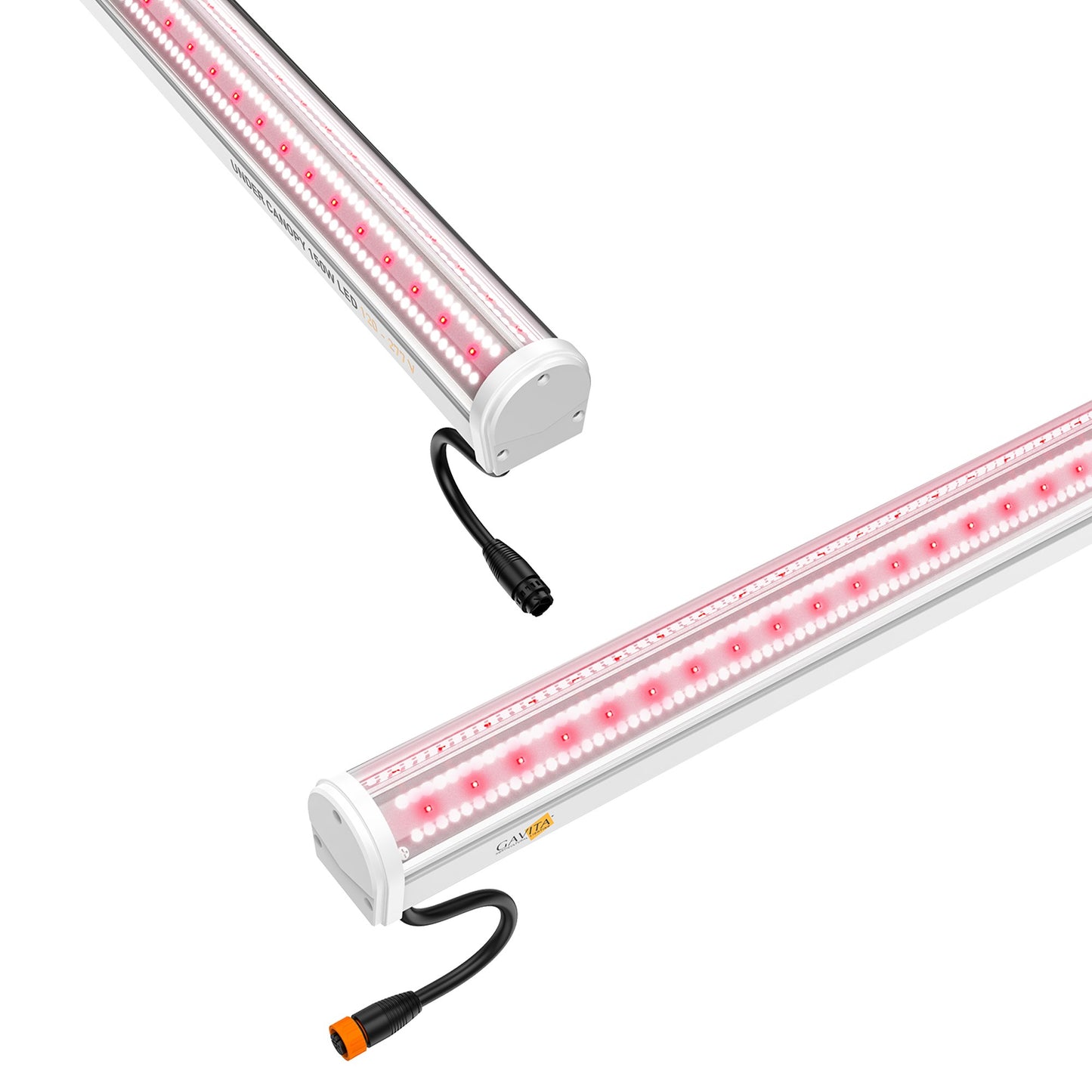 Gavita Under Canopy LED Grow Light, 150W