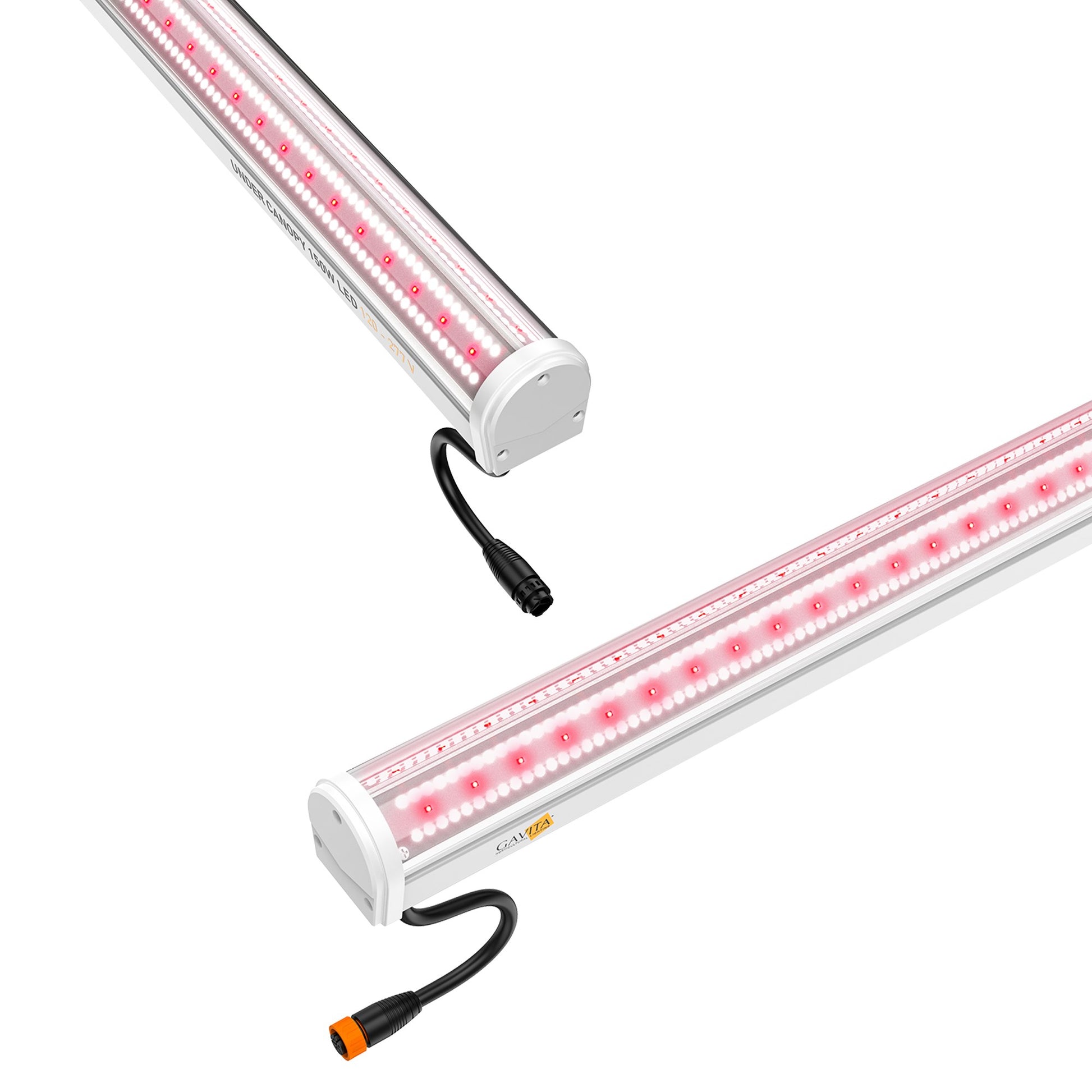 Gavita Under Canopy LED Grow Light, 150W