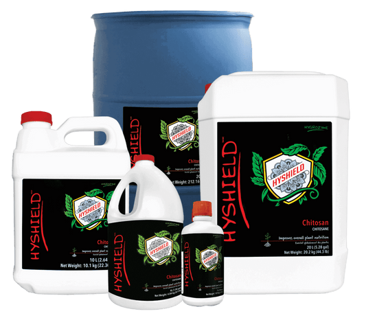 HYSHIELD Natural Immune Booster