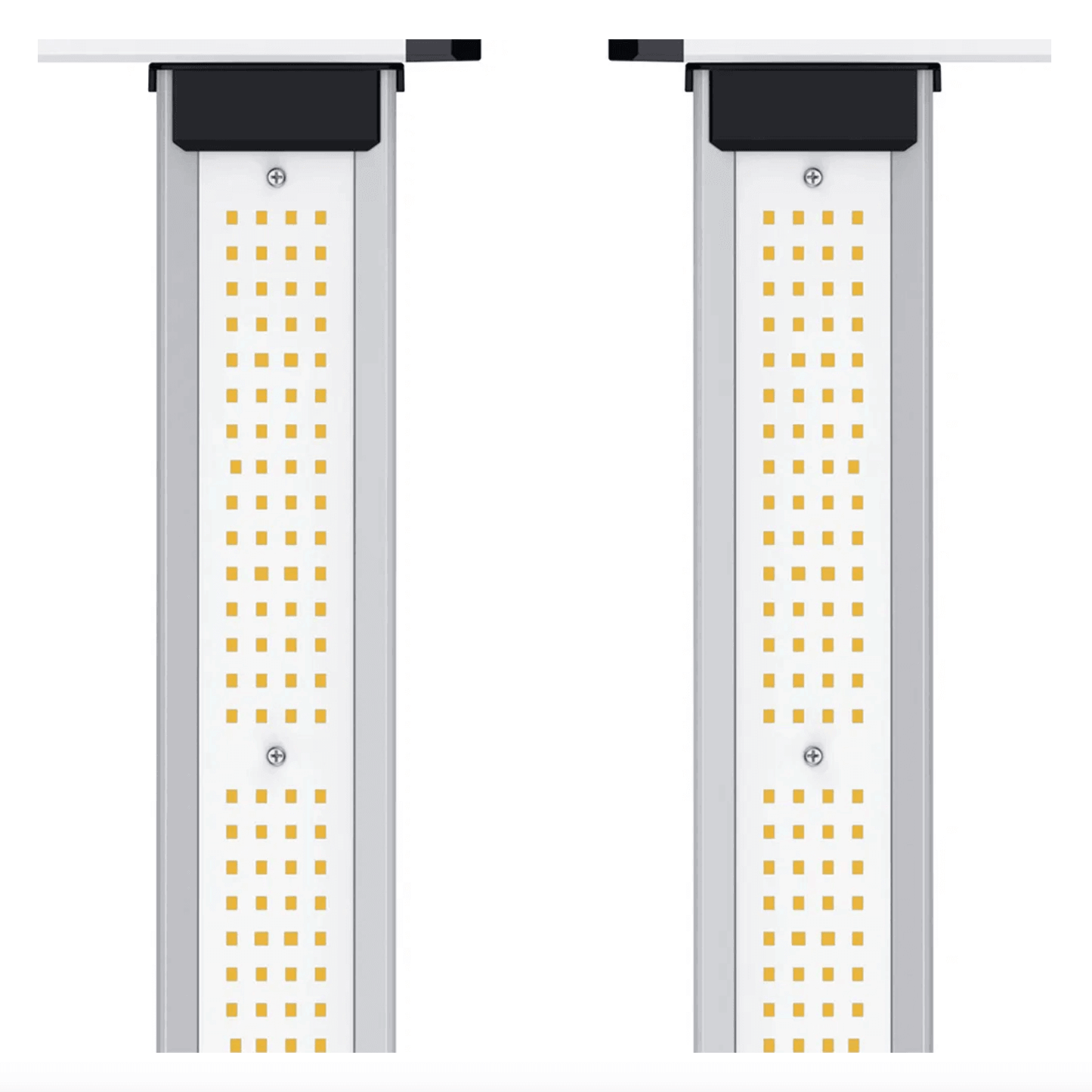 ION Lighting LED XR 830w PRO