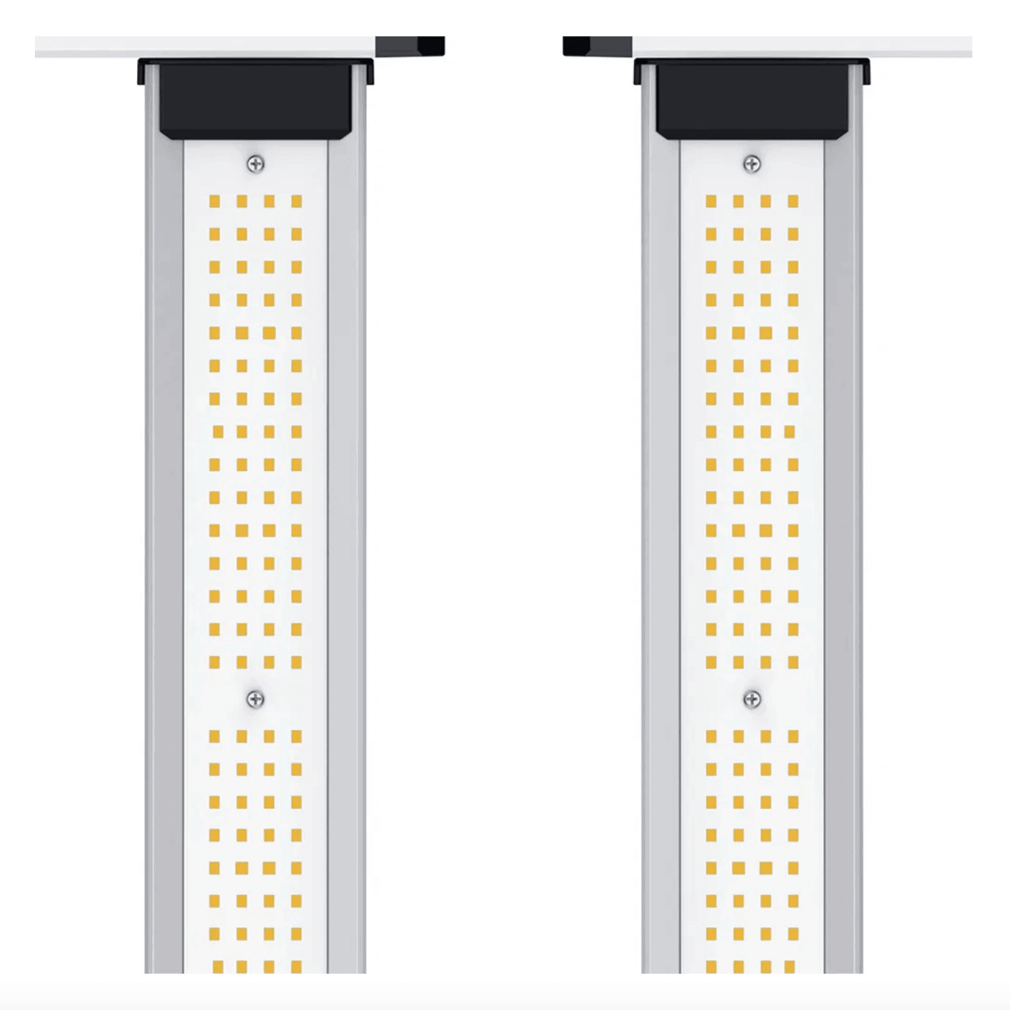 ION Lighting LED XR 830w PRO