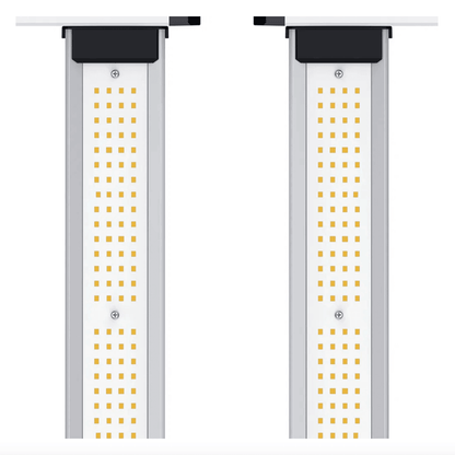 ION Lighting LED XR 830w PRO