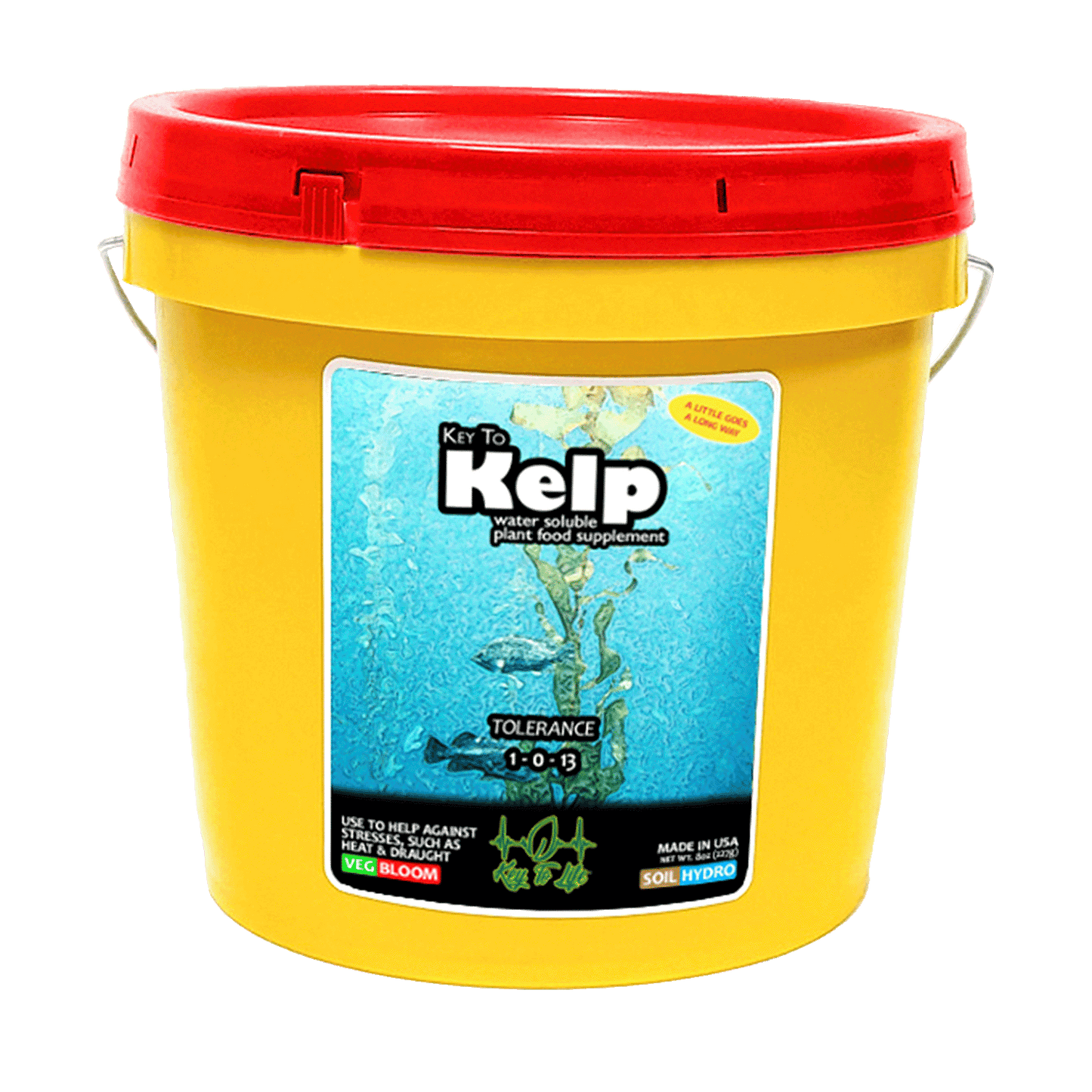 Key to Kelp