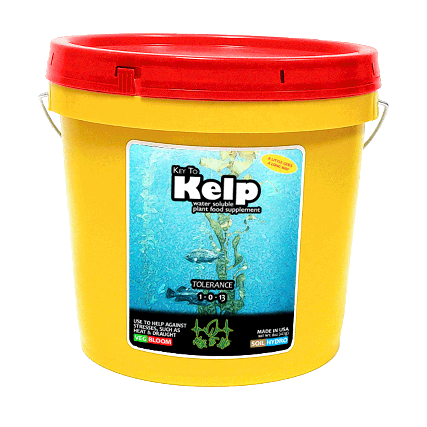 Key to Kelp