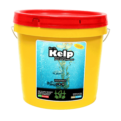 Key to Kelp