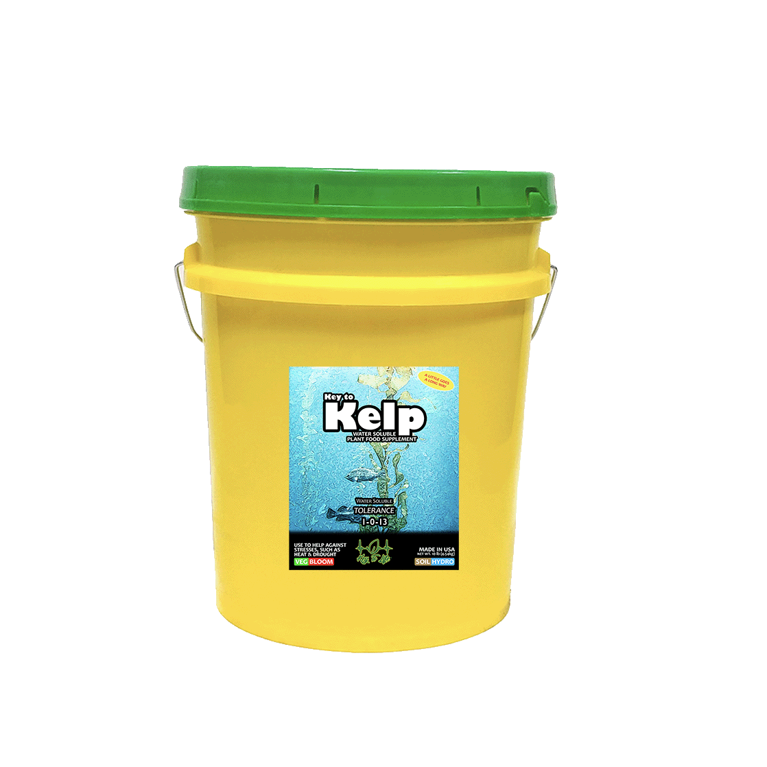 Key to Kelp