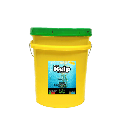 Key to Kelp