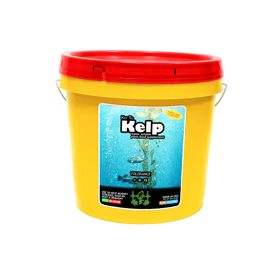 Key to Kelp