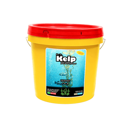 Key to Kelp