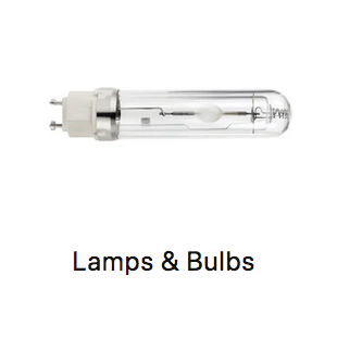 Lamps & Bulbs