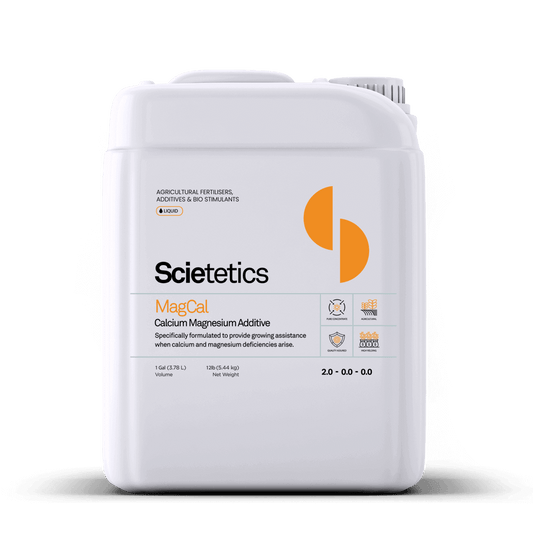 Scietetics | MagCal