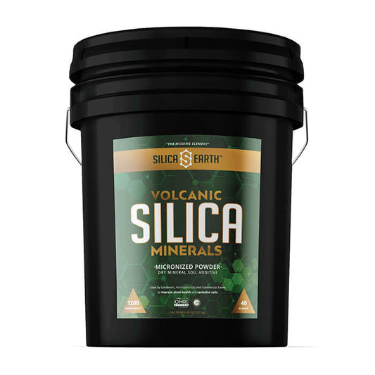 Silica Earth Volcanic Silica Minerals Micronized Powder, 20 Lbs