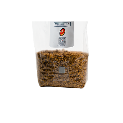 MushroomSupplies Sterilized Millet Grain Spawn Bag, 3 Lb